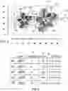 Fig. 04 - Rotatable and focusable illumination system