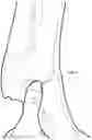 Fig. 05 - EQUID WEARABLE DEVICE, PERFORMANCE ANALYTICS SYSTEM AND METHODS THEREOF