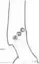 Fig. 09 - EQUID WEARABLE DEVICE, PERFORMANCE ANALYTICS SYSTEM AND METHODS THEREOF