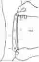 Fig. 11 - EQUID WEARABLE DEVICE, PERFORMANCE ANALYTICS SYSTEM AND METHODS THEREOF