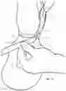 Fig. 14 - EQUID WEARABLE DEVICE, PERFORMANCE ANALYTICS SYSTEM AND METHODS THEREOF