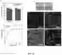 Fig. 15 - ANTIMICROBIAL POLYMERS AND ANTIMICROBIAL HYDROGELS