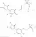 Fig. 16 - Herbicidal phenyltriazolinones