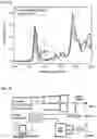 Fig. 02 - ANTIMICROBIAL POLYMER COATING COMPOSITION AND ANTIMICROBIAL POLYMER FILM