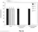 Fig. 12 - Antimicrobial guanidinium and thiouronium functionalized polymers