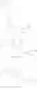 Fig. 64 - Antimicrobial guanidinium and thiouronium functionalized polymers