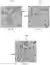 Fig. 19 - Method for preparing and preserving sanitized products