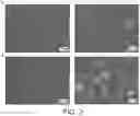 Fig. 03 - BEVERAGES, BEVERAGE CAPSULES AND PROCESSES OF PREPARATION OF BEVERAGES