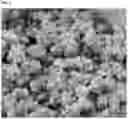 Fig. 02 - COMPOSITIONS AND METHODS FOR COATING DRY PET FOOD KIBBLE