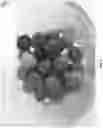 Fig. 06 - Fruit and vegetable products