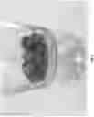 Fig. 07 - Fruit and vegetable products