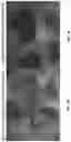 Fig. 08 - Fruit and vegetable products