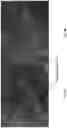 Fig. 09 - Fruit and vegetable products