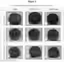 Fig. 02 - Methods and compositions suitable for preserving the freshness of loaf-type food products