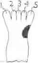 Fig. 01 - SOCKS HAVING MULTIPLE TOE POUCHES