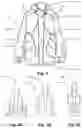 Fig. 02 - GARMENT, IN PARTICULAR FOR THE TORSO
