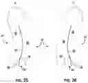 Fig. 14 - FIT FLEXIBLE SIDE INSERT FOR UPPER BODY GARMENTS