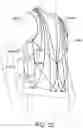 Fig. 24 - Reflective articles of wear