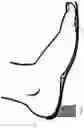 Fig. 13 - REUSABLE CUSTOM INSOLES