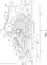 Fig. 02 - Zonal dynamic lacing system