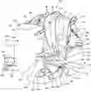 Fig. 01 - Backpack carrier
