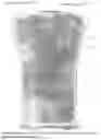 Fig. 02 - BRUSH WITH FLUID DISPENSER