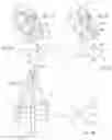 Fig. 07 - Human support structure