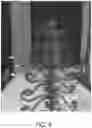 Fig. 06 - FOLDING DECORATIVE DEVICE