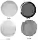 Fig. 05 - Coffee brewer