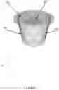 Fig. 04 - Method And Apparatus For Making Coffee And Other Beverages With Freshly Ground Ingredients
