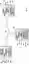 Fig. 04 - METHODS OF OPERATING A COOKING APPLIANCE IN COORDINATED COMMUNICATION ACROSS MULTIPLE DEVICES