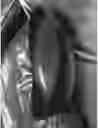 Fig. 15 - Pan