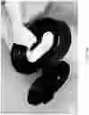 Fig. 19 - WET WIPE LID WITH 3D ANGLED WALL KEYHOLE SQUEEGEE
