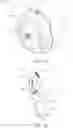 Fig. 02 - MULTIPLE ORIFICE NOZZLE WITH CAVITY