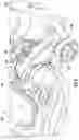 Fig. 05 - Cleaning head for a surface treatment apparatus having one or more stabilizers and surface treatment apparatus having the same
