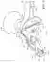 Fig. 04 - DUAL-BLADED SCRAPER WITH A ROTATABLE BLADE-RETAINING HEAD