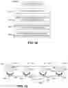 Fig. 17 - Dishwasher with docking arrangement for elevation-adjustable rack