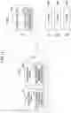 Fig. 11 - Retinal scanning type eye examination device, retinal scanning type eye examination system, eyewear provision system, and retinal scanning type eyewear