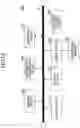Fig. 12 - Retinal scanning type eye examination device, retinal scanning type eye examination system, eyewear provision system, and retinal scanning type eyewear