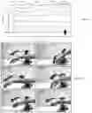 Fig. 07 - Three-dimensional integrated stretchable electronics