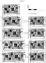 Fig. 10 - Three-dimensional integrated stretchable electronics