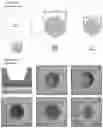 Fig. 17 - Three-dimensional integrated stretchable electronics
