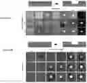 Fig. 23 - Three-dimensional integrated stretchable electronics