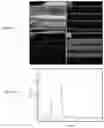 Fig. 24 - Three-dimensional integrated stretchable electronics