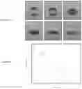 Fig. 27 - Three-dimensional integrated stretchable electronics