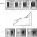 Fig. 37 - Three-dimensional integrated stretchable electronics
