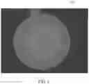Fig. 02 - Tissue-penetrating electrochemical sensor featuring a co-electrodeposited thin film comprised of polymer and bio-recognition element