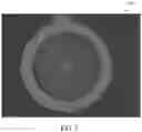 Fig. 03 - Tissue-penetrating electrochemical sensor featuring a co-electrodeposited thin film comprised of polymer and bio-recognition element