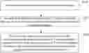 Fig. 01 - Image processing and emphysema threshold determination