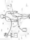 Fig. 28 - SYSTEMS, DEVICES AND METHODS FOR SENSING PHYSIOLOGIC DATA AND DRAINING AND ANALYZING BODILY FLUIDS